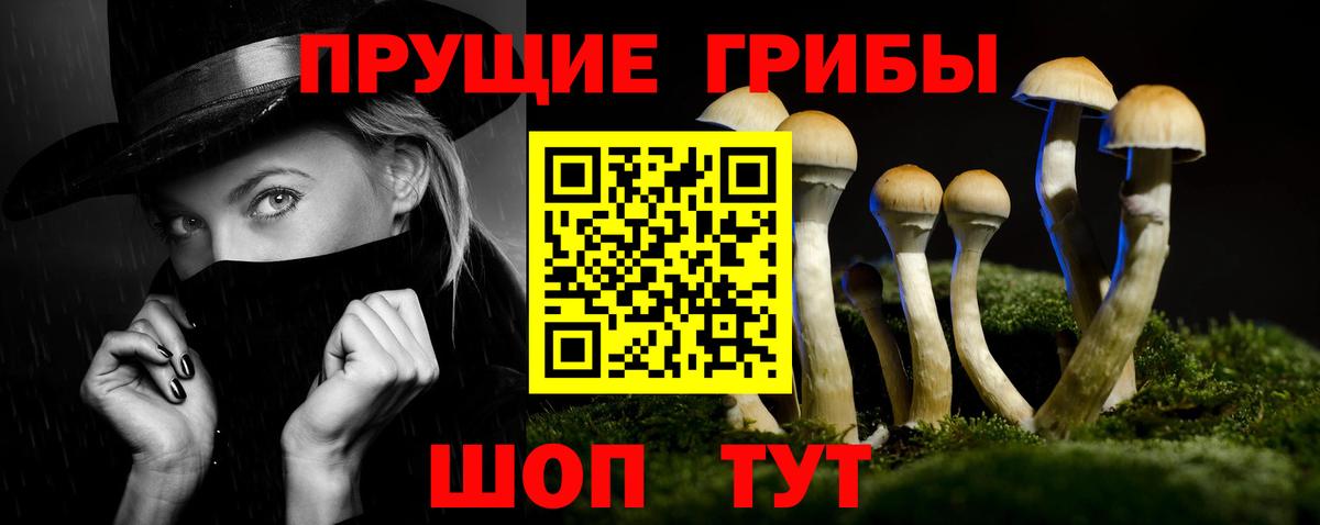 Галлюциногенные грибы мицелий  Вход с VPN  Вышний Волочёк 