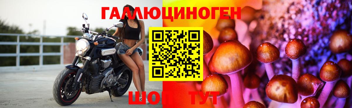 Галлюциногенные грибы мицелий Вышний Волочёк